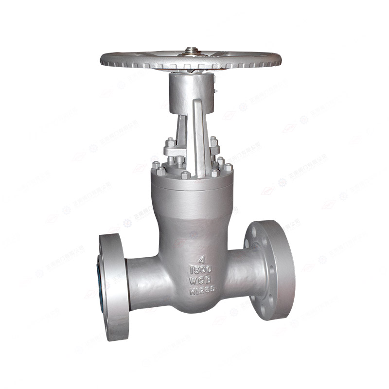 Power station gate valve