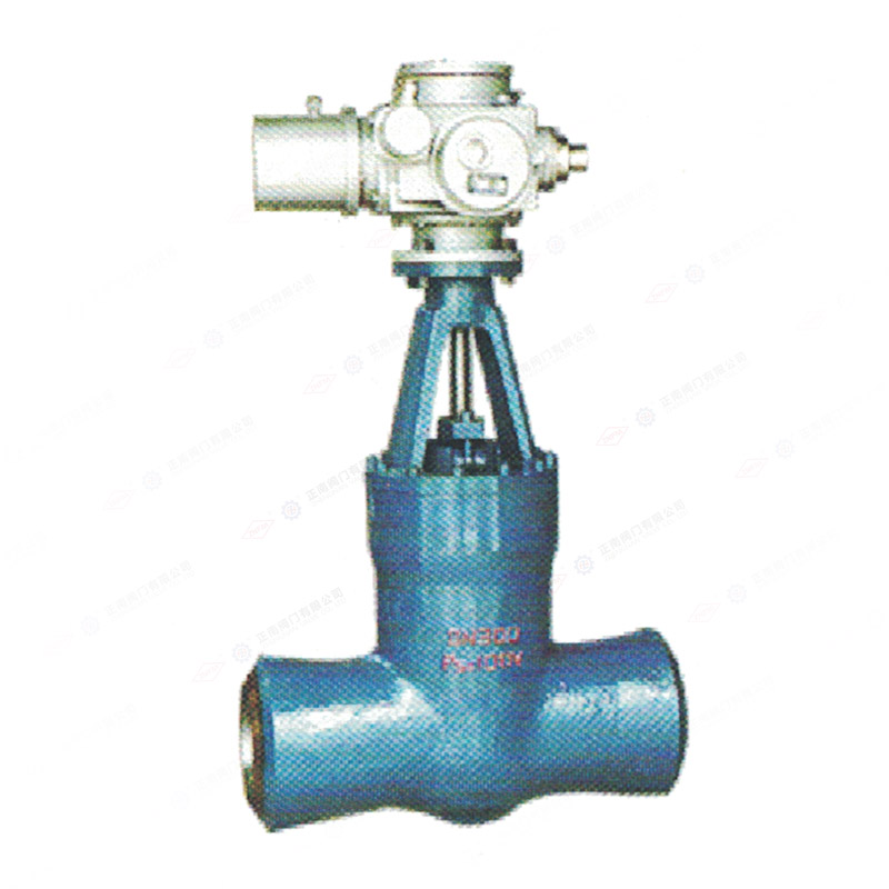 Power station gate valve