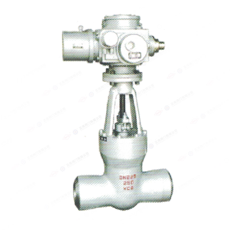 Power station gate valve