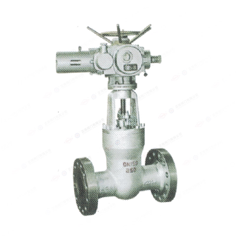 Power station gate valve