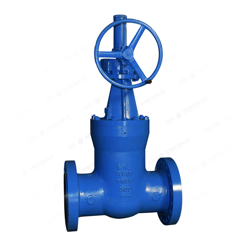 Power station flange gate valve