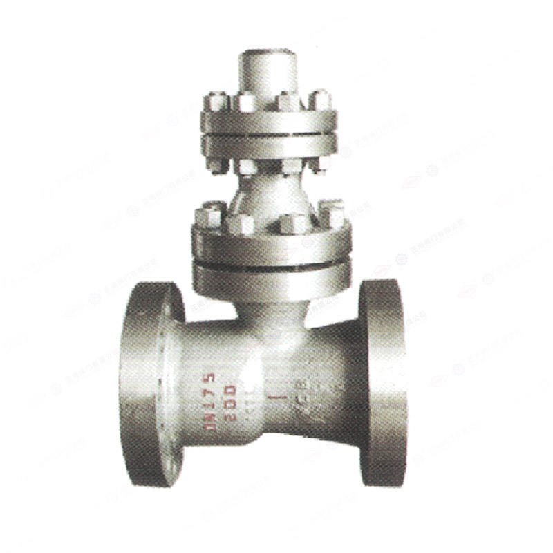 Air discharge check valve