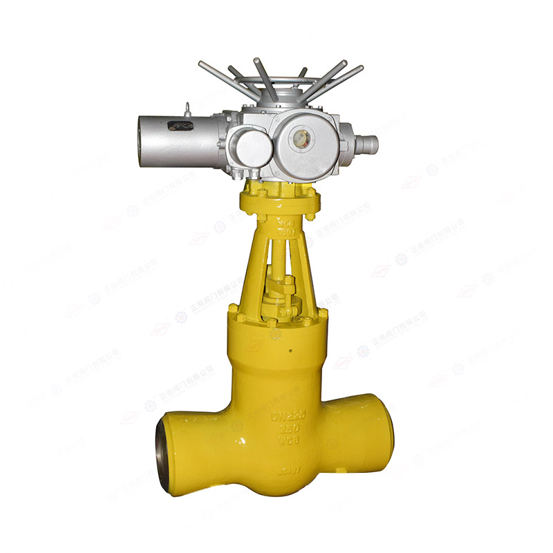 Power station gate valve