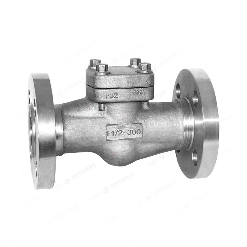 Flange check valve