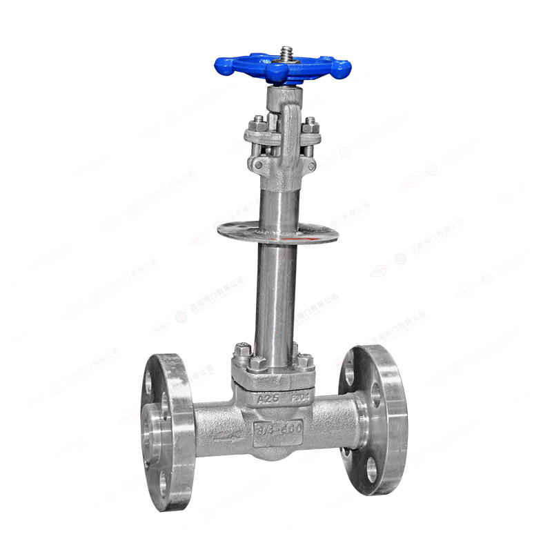 Forged steel low-temperature gate valve