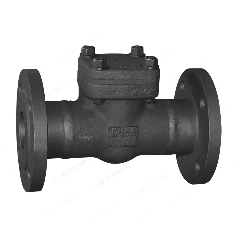 Flange check valve