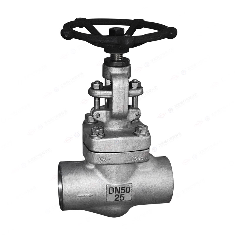 Forged steel 304 welded globe valve