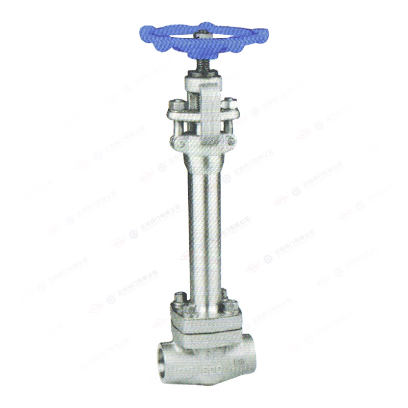 Forged steel low-temperature globe valve