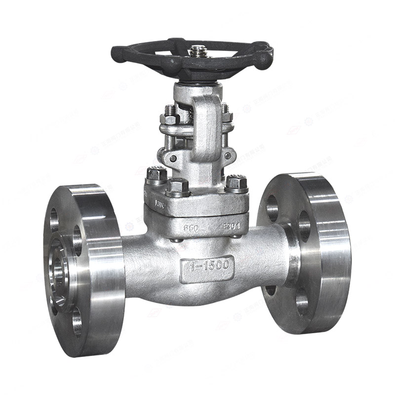 Forged steel flange gate valve