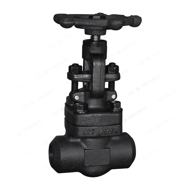 Forged steel butt welding globe valve