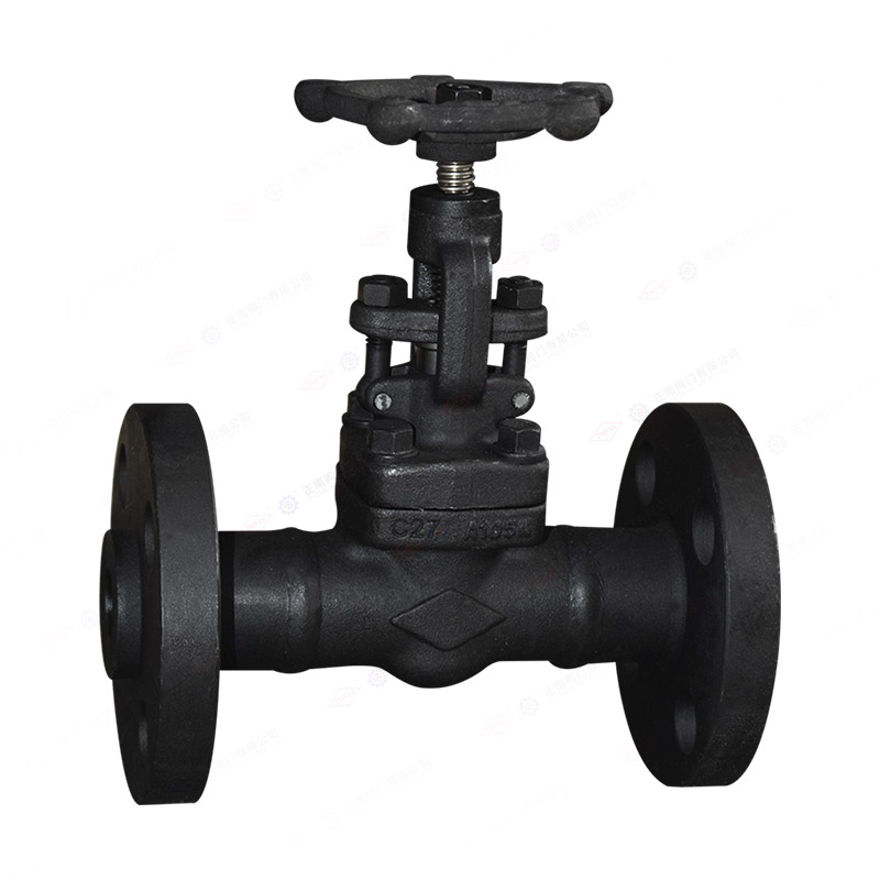 Forged steel flange globe valve