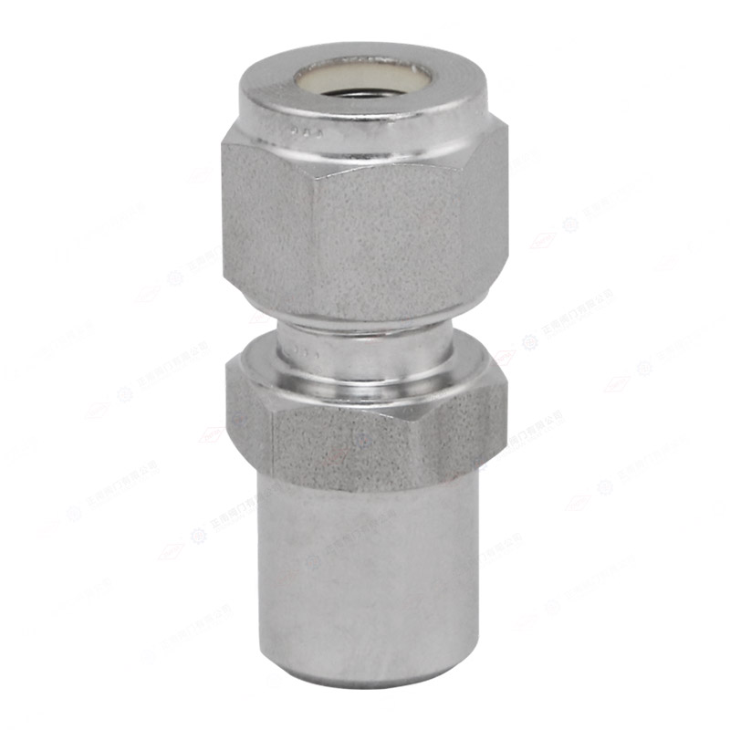 Ferrule joint