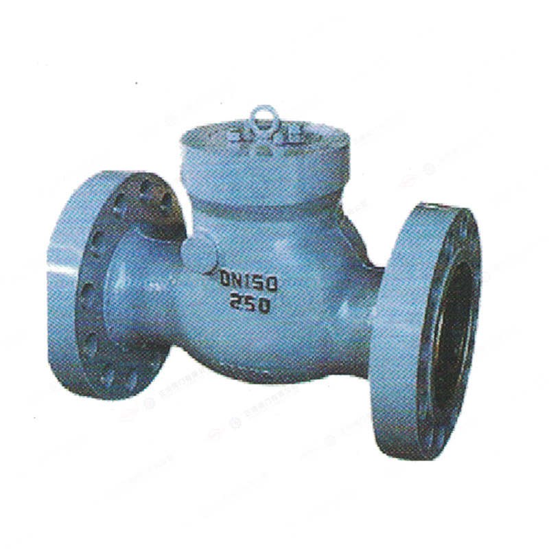 Power station check valve