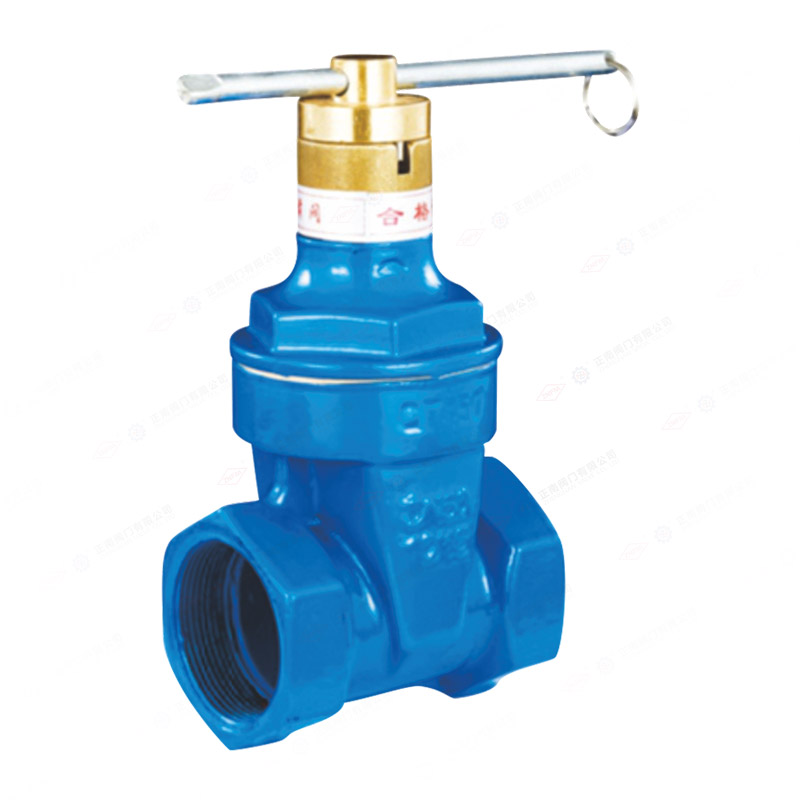 Encrypted soft seal gate valve