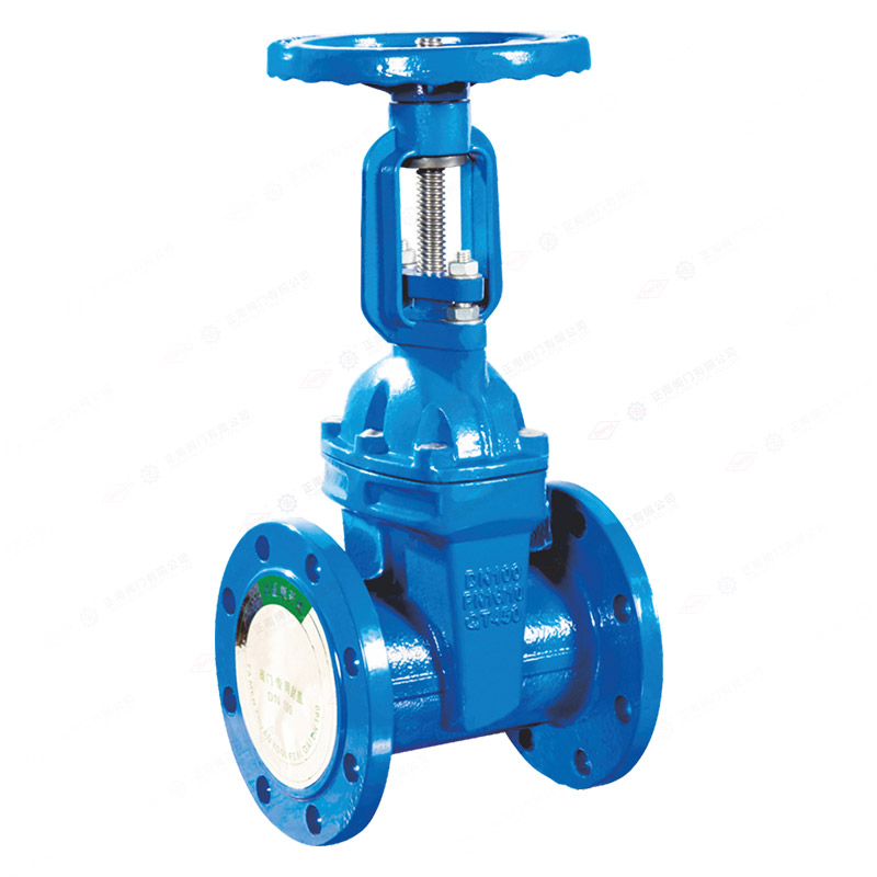 Rising stem soft seal gate valve