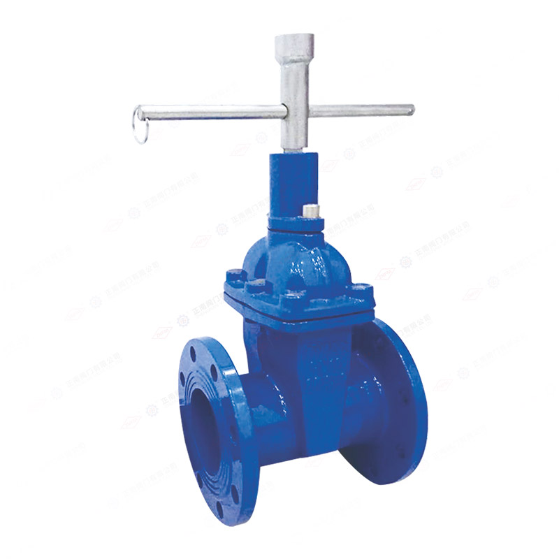 Soft sealed watch money anti-theft gate valve