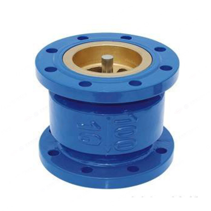 Vertical check valve