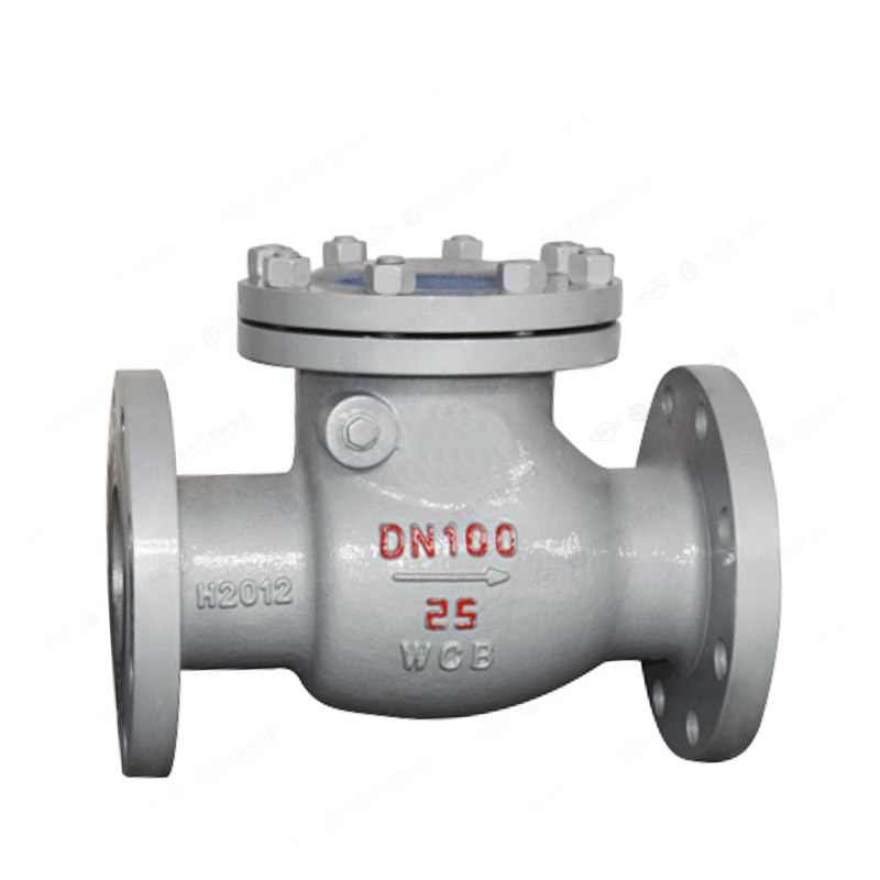 Swing type flange check valve