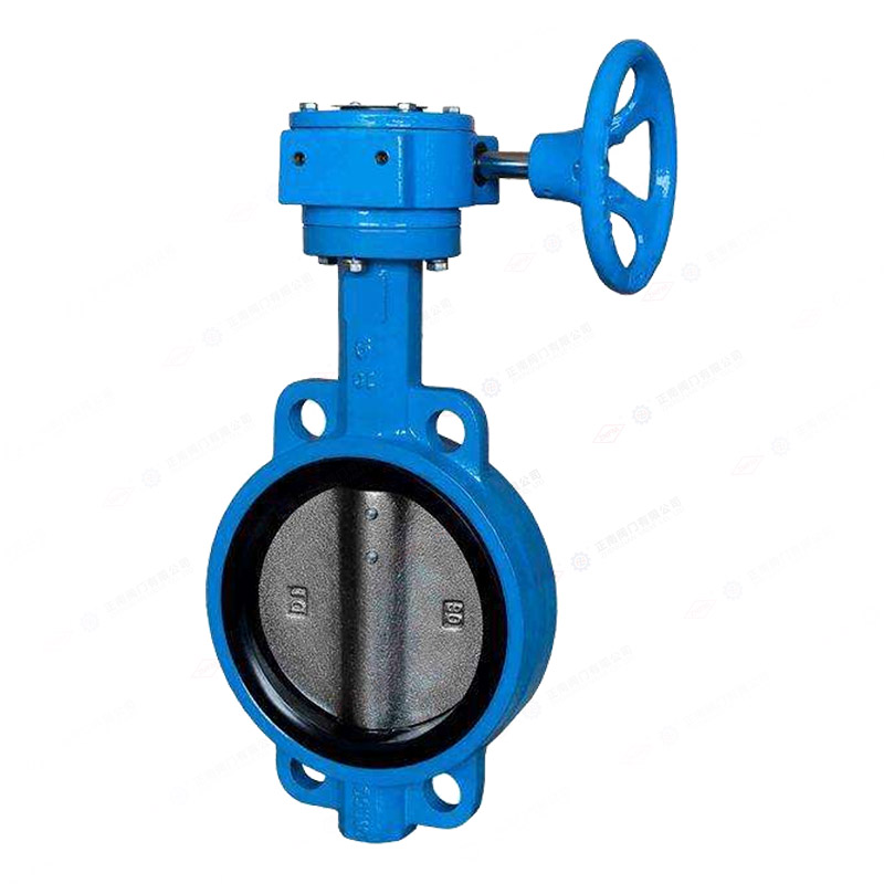 Soft sealed clamp butterfly valve