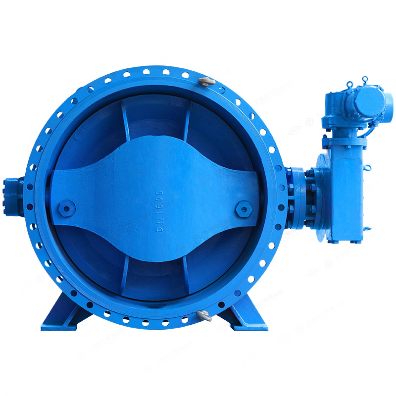 Large diameter flange butterfly valve