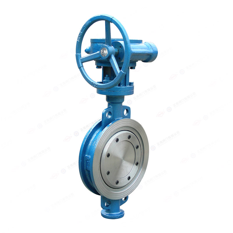 Worm wheel clamp butterfly valve