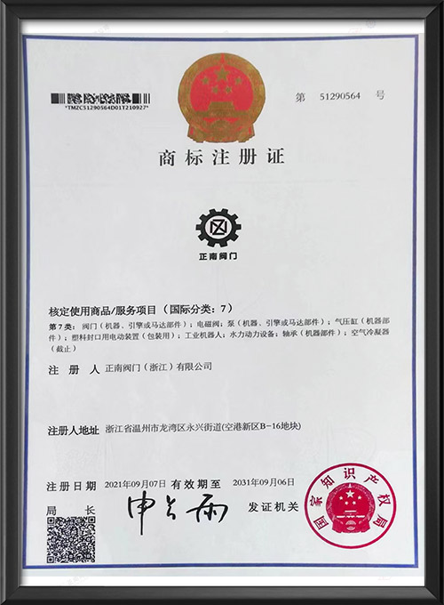 Trademark Registration Certificate (2)