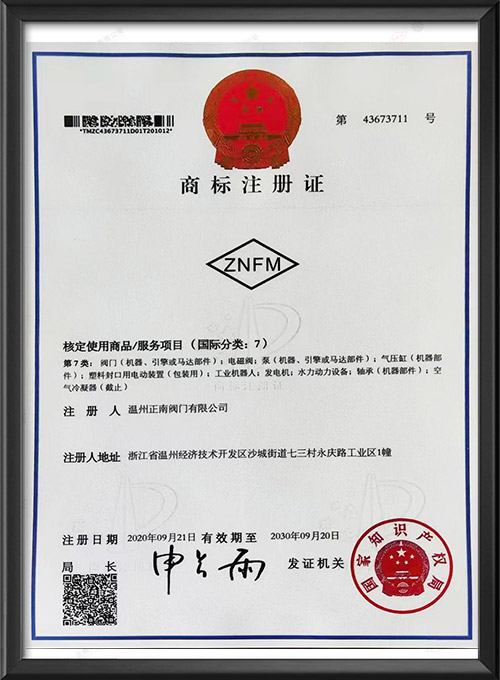 Trademark Registration Certificate (3)