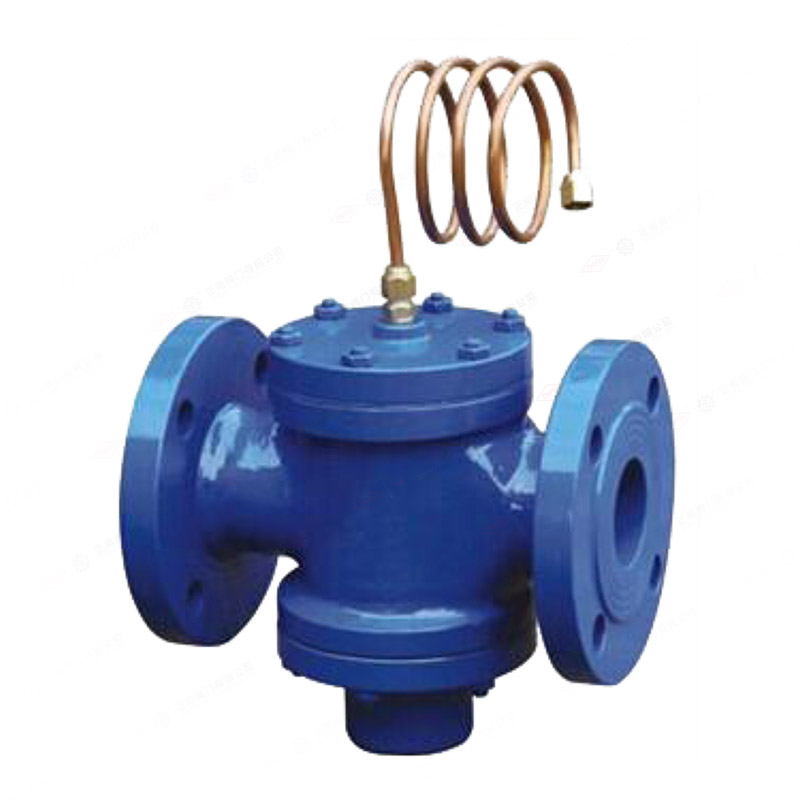 Self operated differential pressure control valve