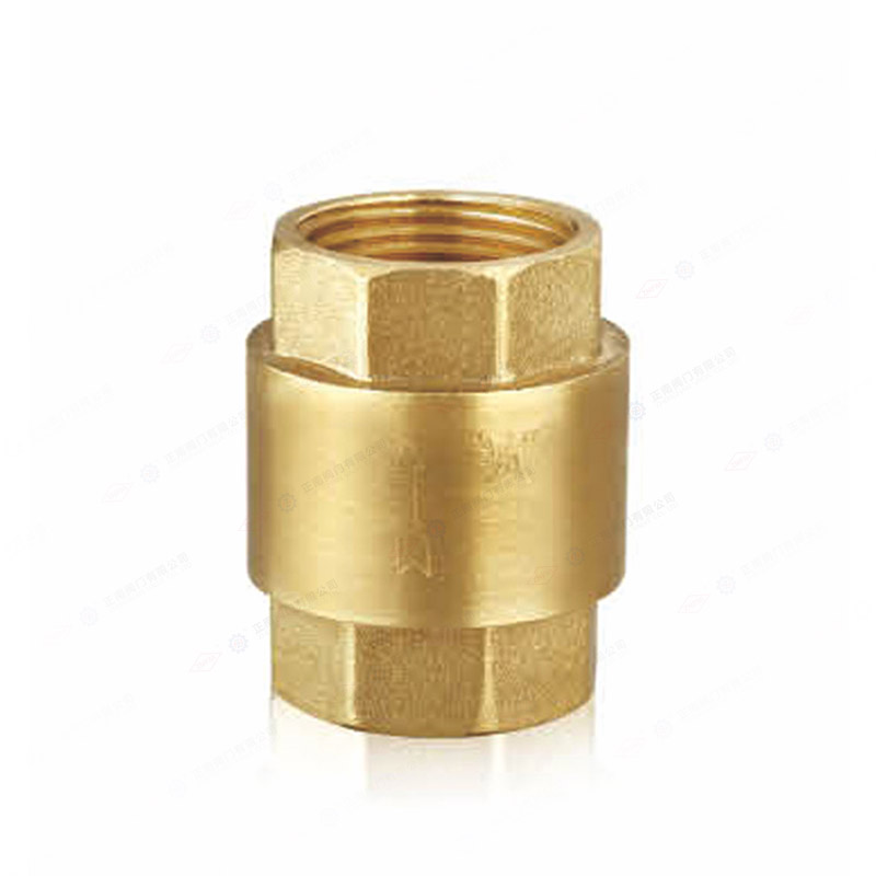 Brass vertical check valve