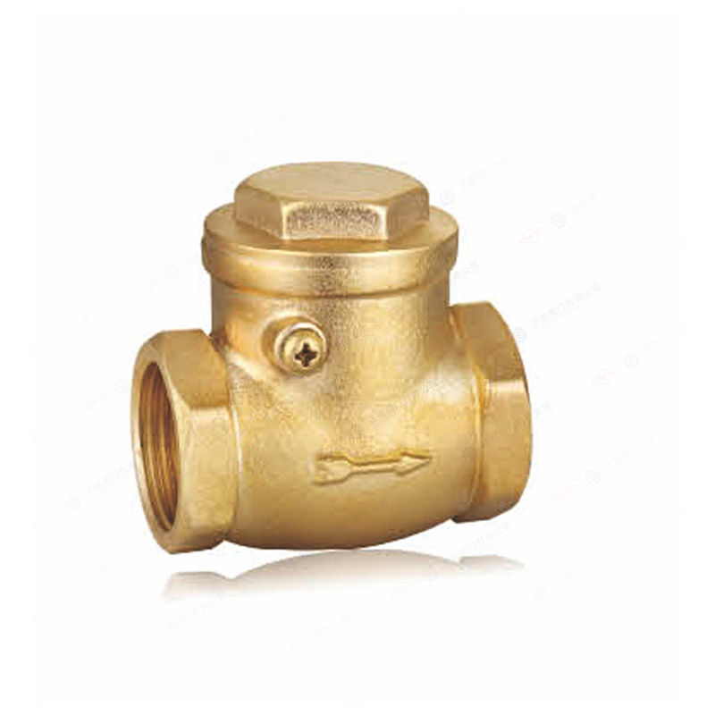 Brass check valve