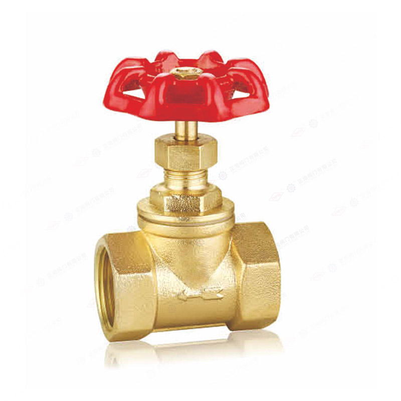 Brass globe valve