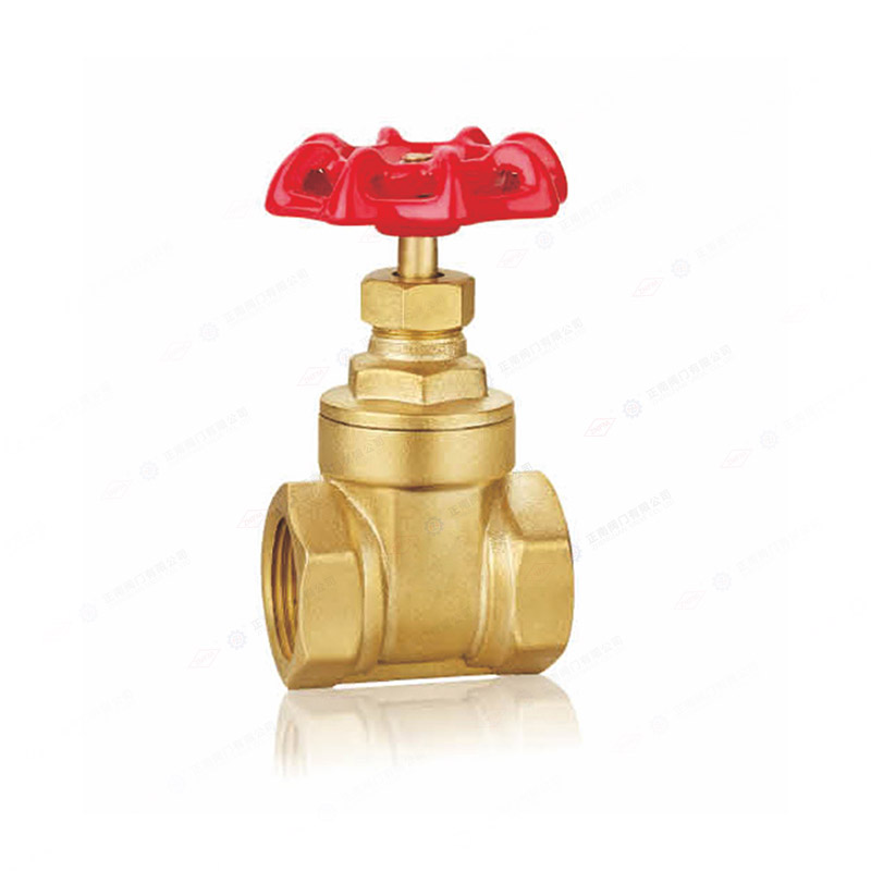 Brass engineering specific gate valve